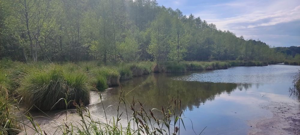 10 ha w malowniczej dolinie