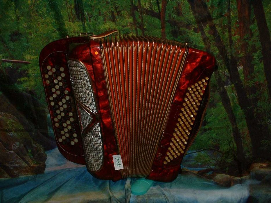 Promoção de Acordeões de concertinas