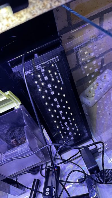 Aquario + filtro + Luz + 4L Neo Soil