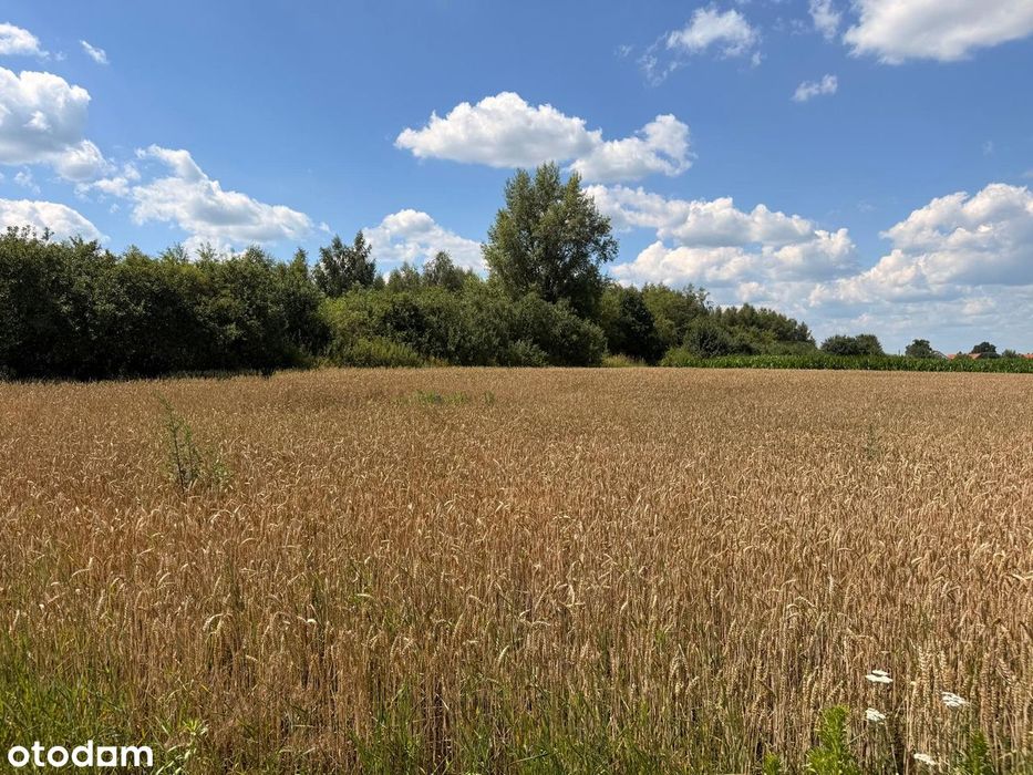 Działka budowlana z WZ | Studnia | 1 min od Prusic | Blisko S5 - Widok 3