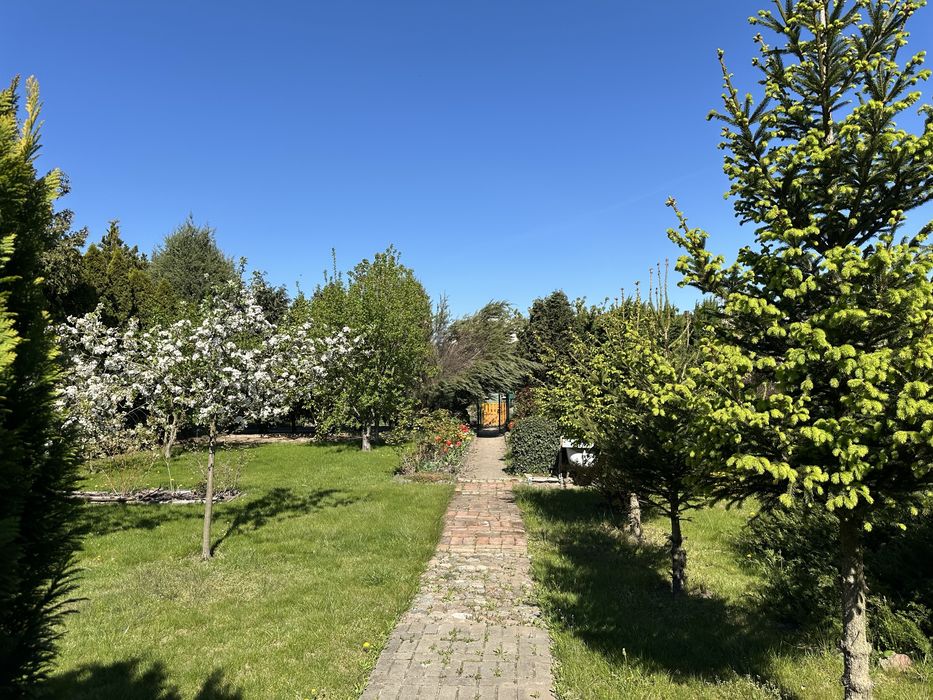 Działka ROD Kościan 506 m² | Prąd + woda | Gotowa do użytkowania - Widok 5