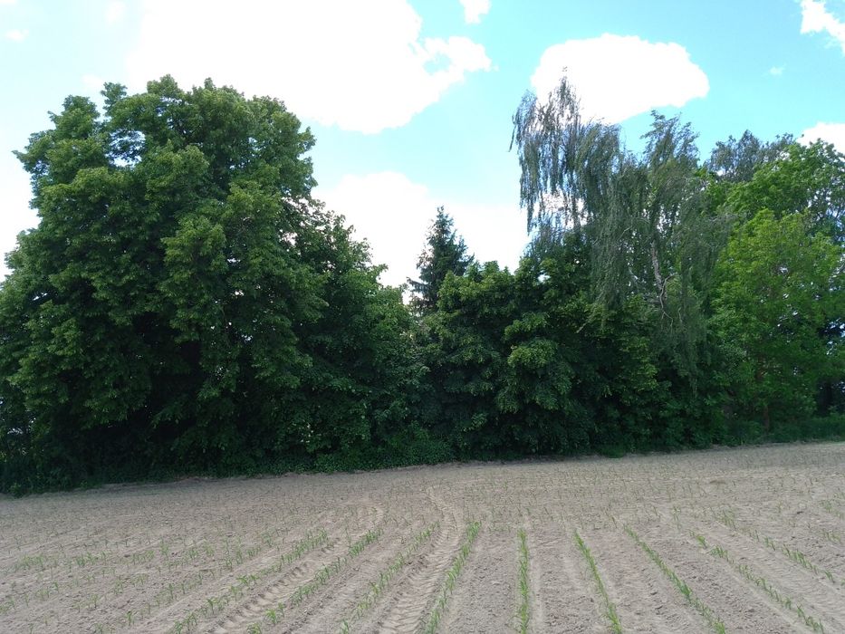 Sprzedam dom w miejscowości Łubki