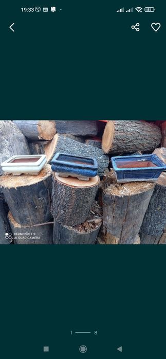 Підложка під бонсай плошка бонсайница горщик