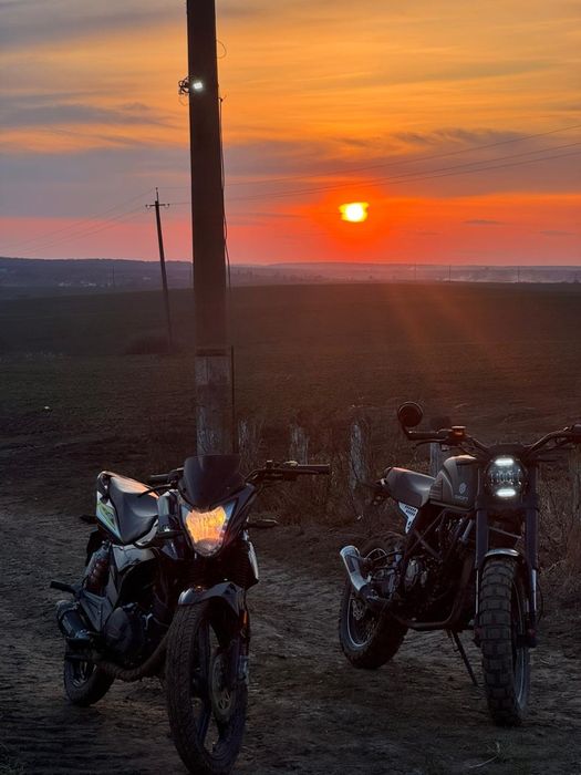 В продажі Hornet GT-200