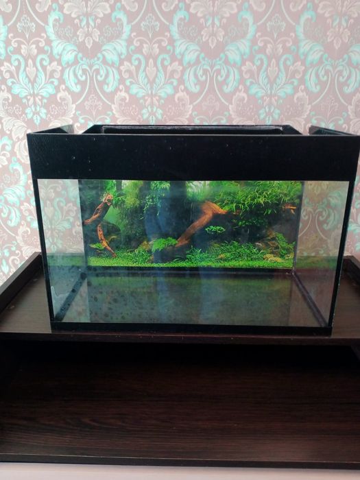 Аквариум! Продам