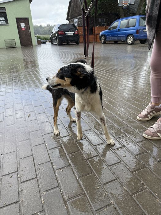 Pokochaj cudowną Tenę