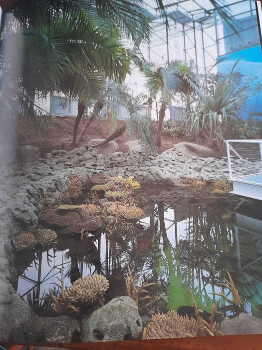 Pavilhão dos Oceanos: Exposição Mundial de Lisboa de 1998
