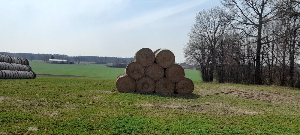 Słoma w belach 160
