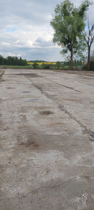 Wynajmę miejsce parkingowe TIR, plac utwardzony