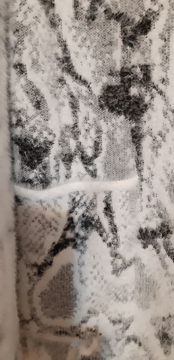 Płaszczyk klasyczny