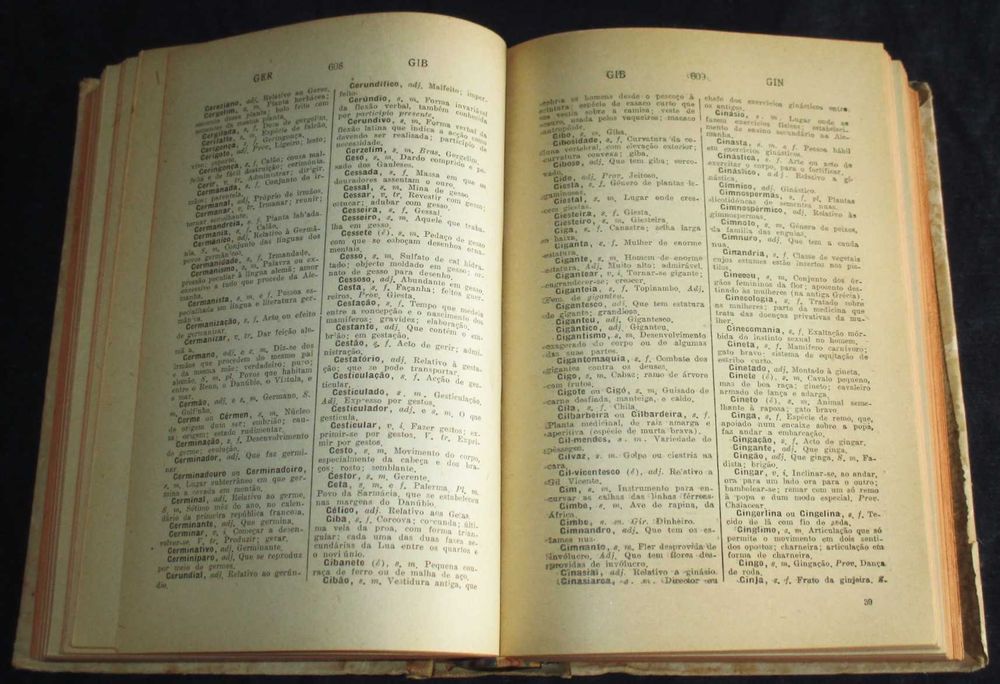 Livro Novo Dicionário da Língua Portuguesa Francisco Torrinha 1946