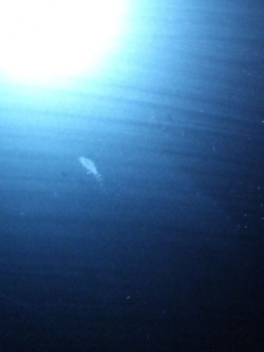 Монитор SAMSUNG 24" S24R350FZI (LS24R350FZIXCI)