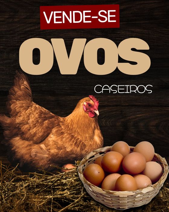 Vende-se ovos caseiros
