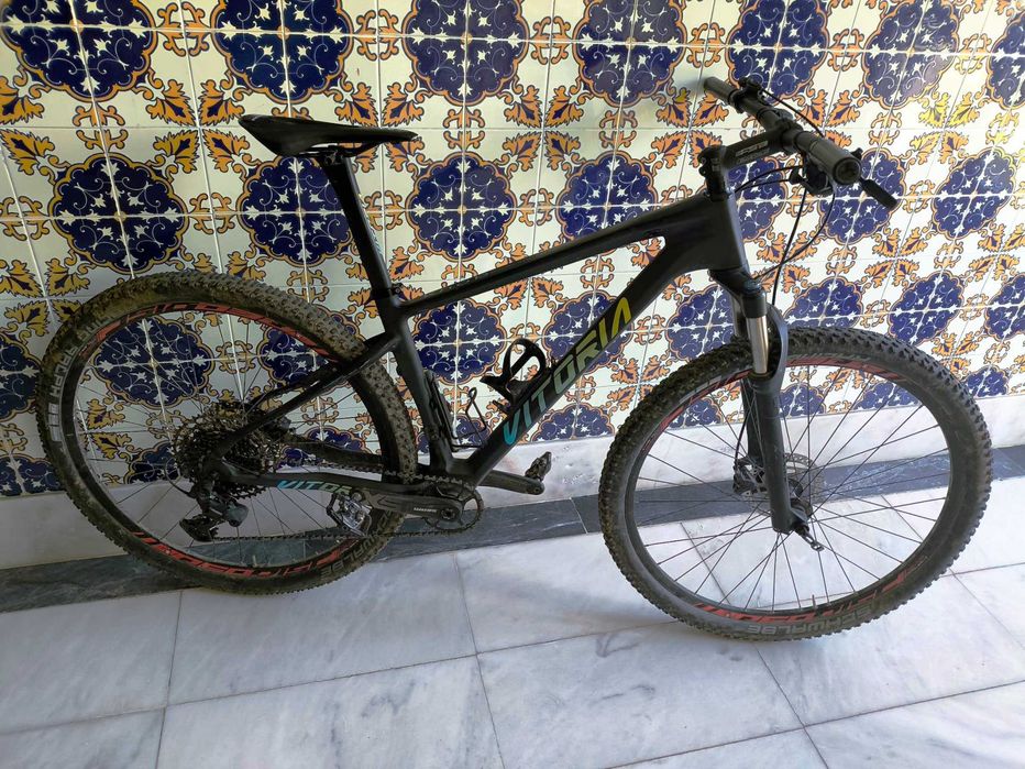 Vitoria Knob L 2019 Carbono