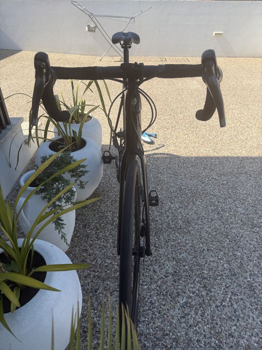 Trek Domane AL2 Como Nova