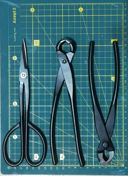 Інструменти для формування бонсай