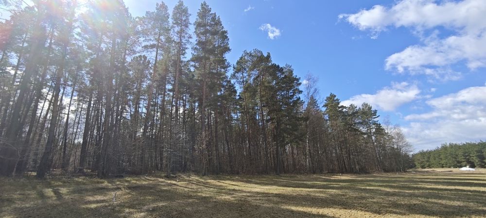 Działka budowlana, 10ar, las, Mazury, bezterminowe Warunki Zabudowy