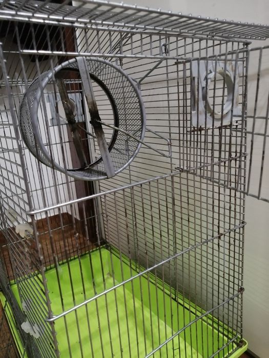 Klatka dla chomika