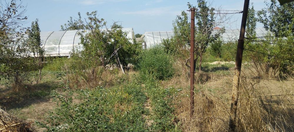 Садиба в місті Кілія Одеської області