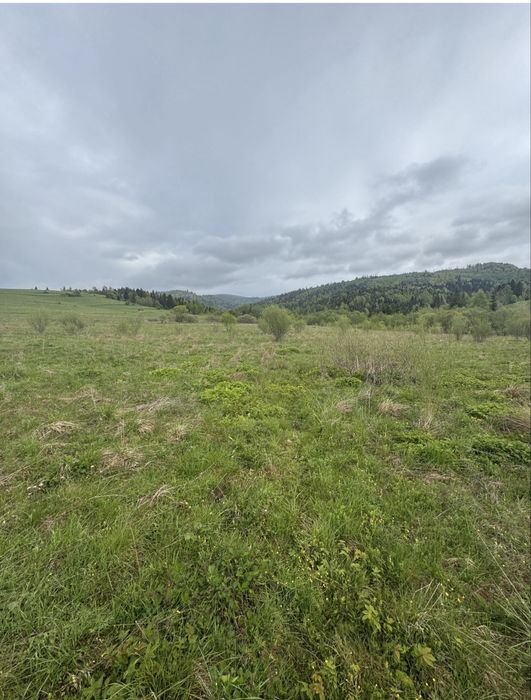 Продається земельна ділянка с. Мита