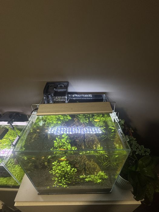 Akwarium kostka 35x35