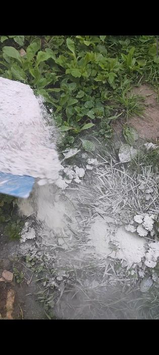 Пушонка вищої якості і Вапно будівельне і біле   Ціна договірна.)