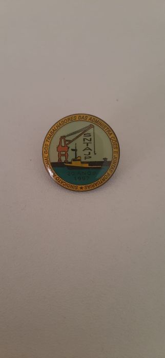 Pin comemorativo do 20º aniversário do SNTAP
