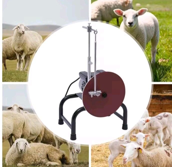 Disco de lixa de 26cm para afiador de pentes de tosquia