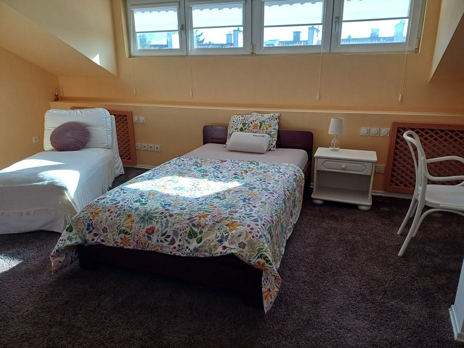 Your comfy single room in Ursynów