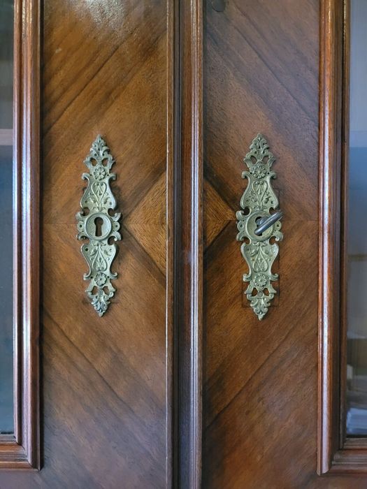 Biblioteka - orzech xix wiek