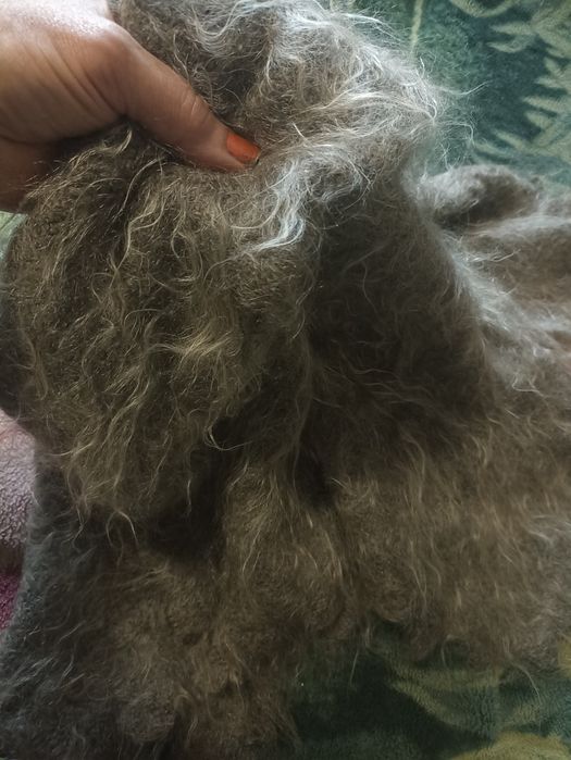 Пуховый платок плотной вязки