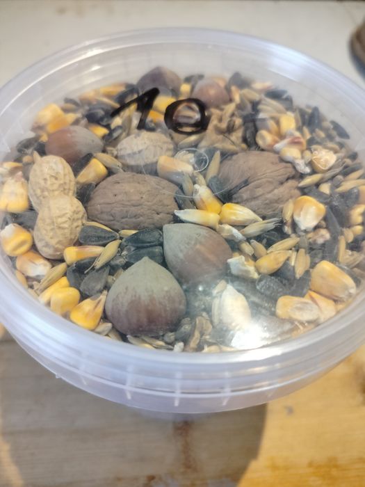 Karma wiewiórka, mieszanka dla wiewiórek