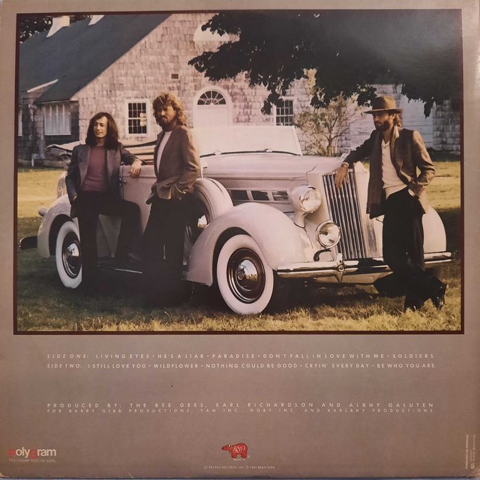 'Bee Gees  - Living Eyes' Disco Vinil