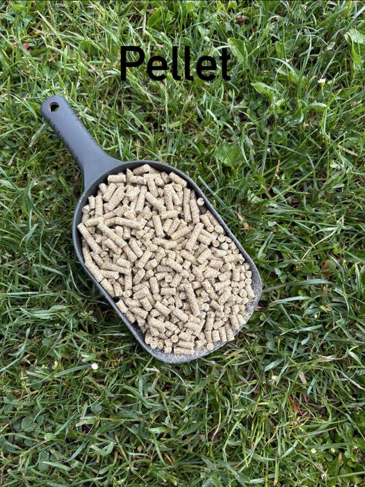Pellet orzech tygrysi