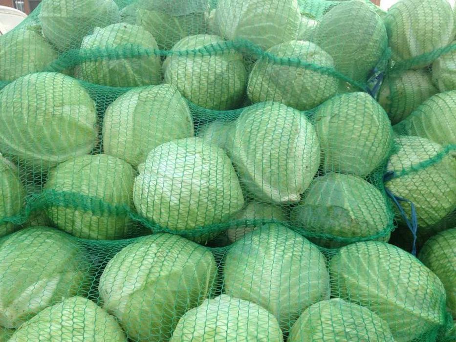 сетка -мешок овощная. Предсезонные цены!!