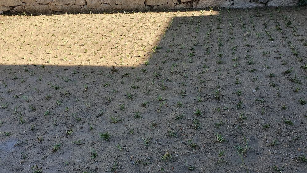 Escalracho para entrega ou envio