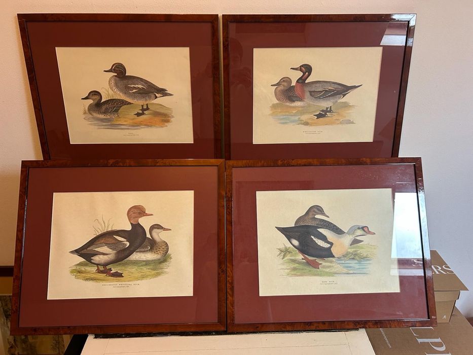 Cojunto de 4 quadros patos