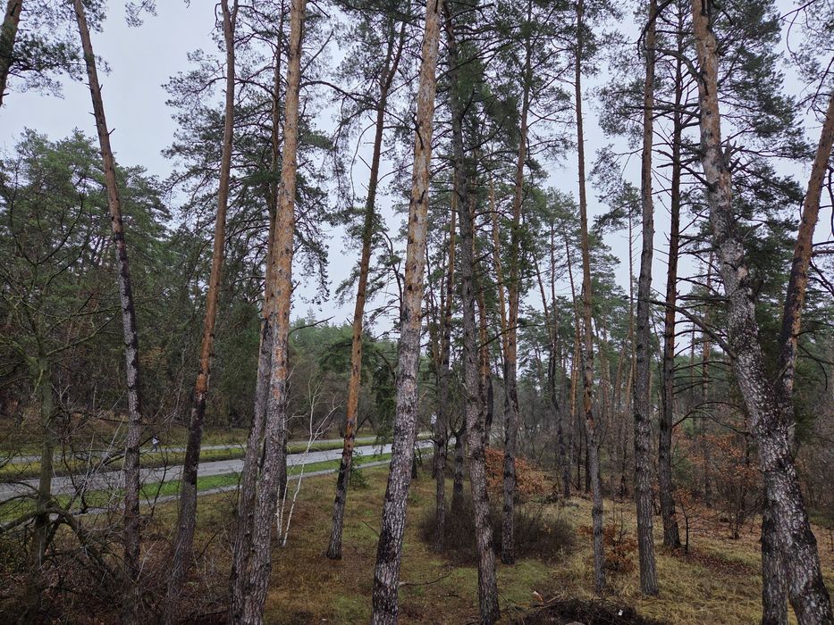 Здам комерційні приміщення в Обухові