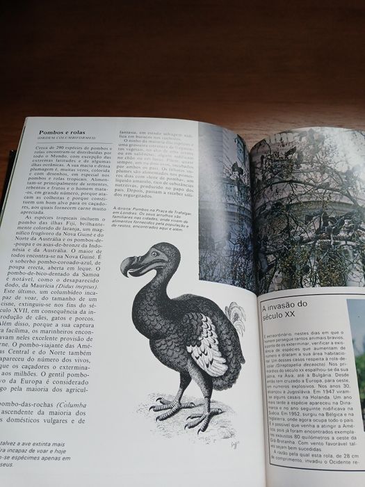 Enciclopédia da Vida Animal