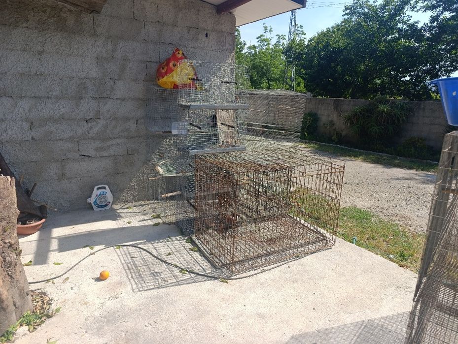 Gaiolas para aves