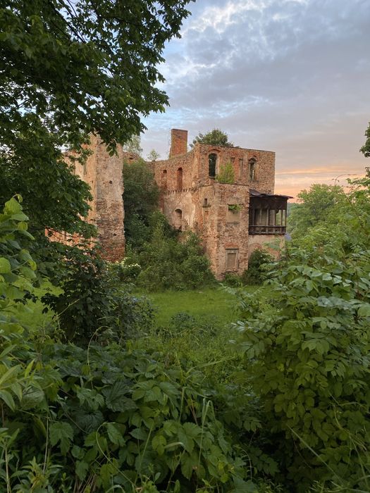 Działka rolna z ruinami zabytkowego pałacu i dworku