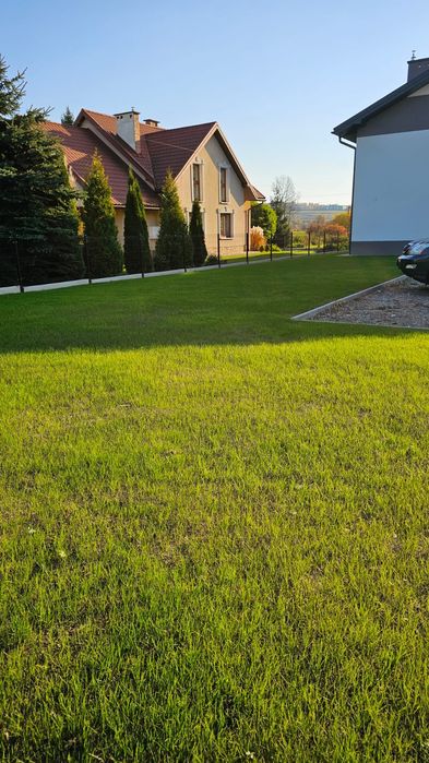 Trawniki , glebogryzarka separacyjna , sianie , równanie Krosno