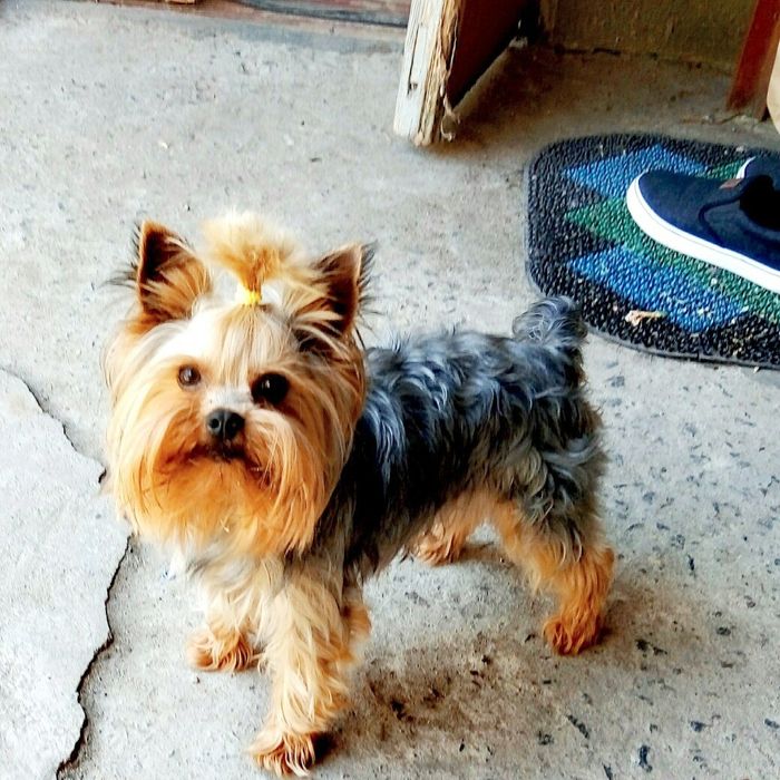 Мальчик- красавчик ищет невесту!!!