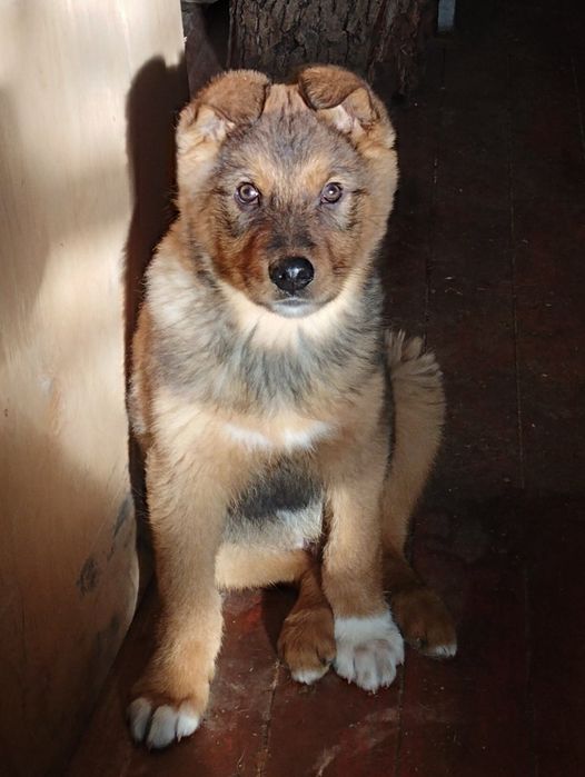 Малыш в хорошие руки!