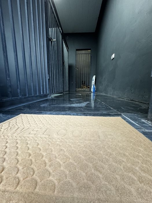 Передержка собак , передержка с дрессировкой , детский сад .