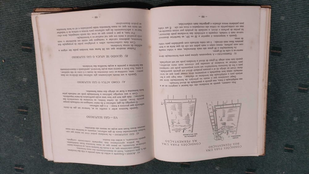 ABC da Vinificação