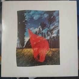 Vinyl Pink Floyd Wish You Were Here de 1983