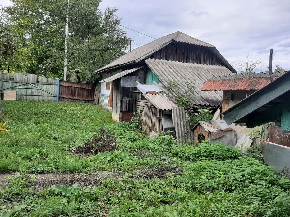 Продається господарство с.Боянчук Заставнівського р-ну.