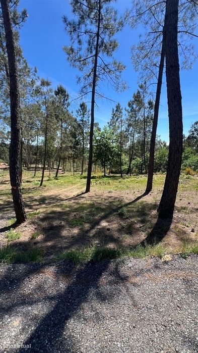 Terreno Para Construção  Venda em Mundão,Viseu