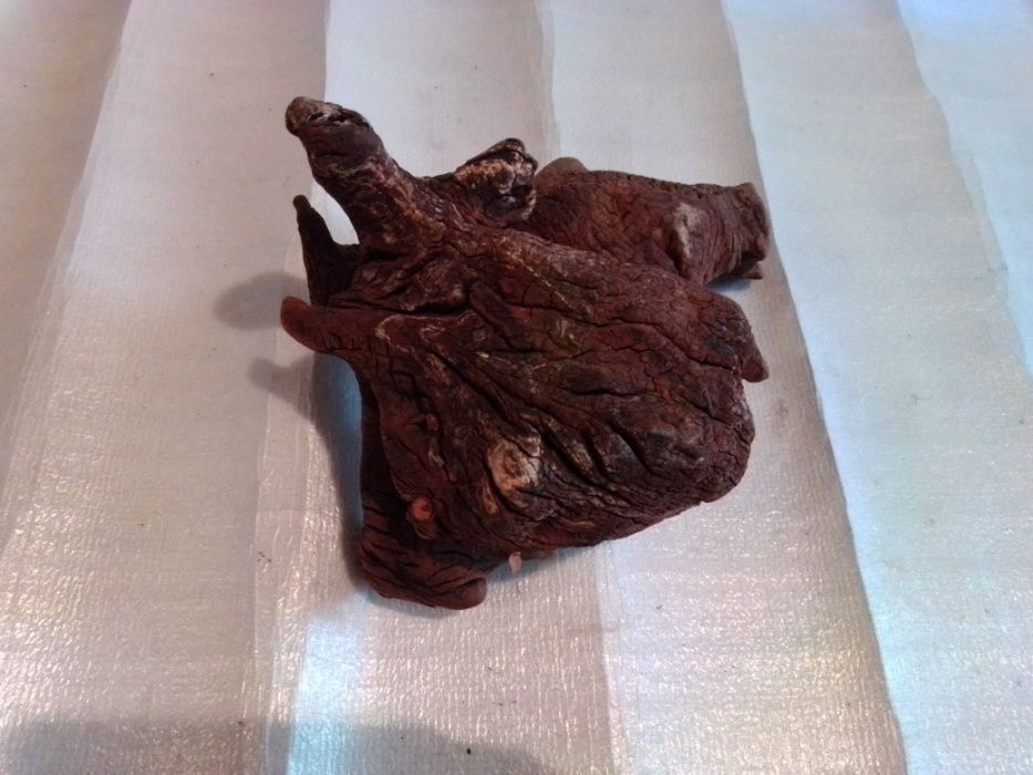 Korzeń do terrarium, akwarium